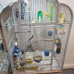 Bird cage 🐤🐦🐤