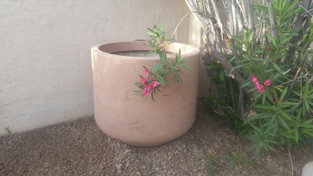Extra large plant flower tree pot