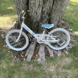 20” Trek Bike 