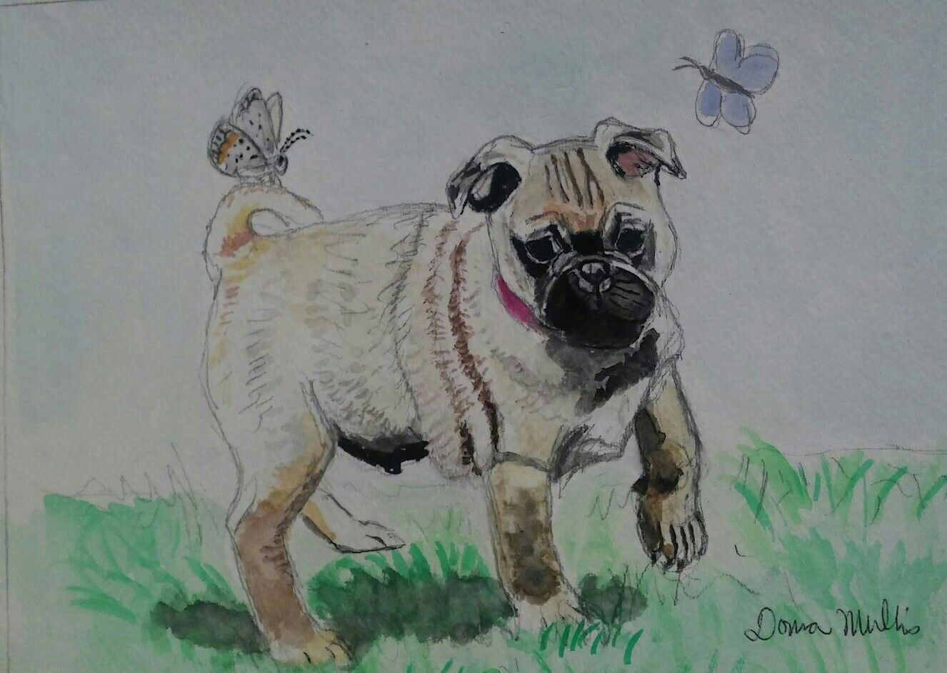 Pug puppy and butterflies