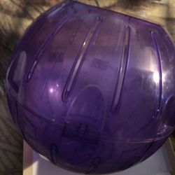 Katee Run Large Ball