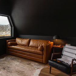 Napa Pull Out Leather Sofa Bed