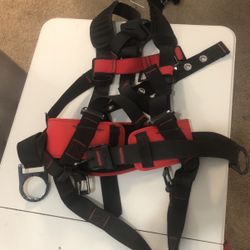 3M Protecta Safety Harness 