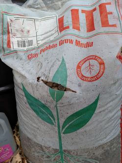 Geolite Clay Pebbles 