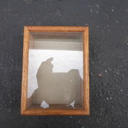 Vintage Wood Display Case Entomology Insects Goth Art Collect Trinkets Starwars