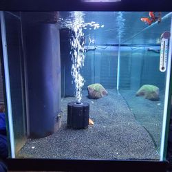 180 Gallon Aquarium Fish Tank Full Setup 