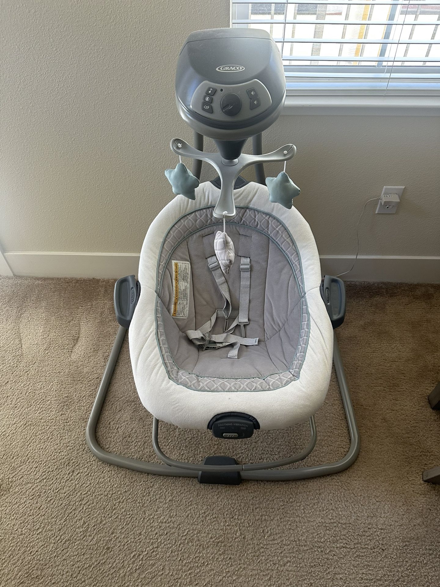Graco Baby Swing