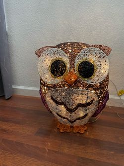 Owl