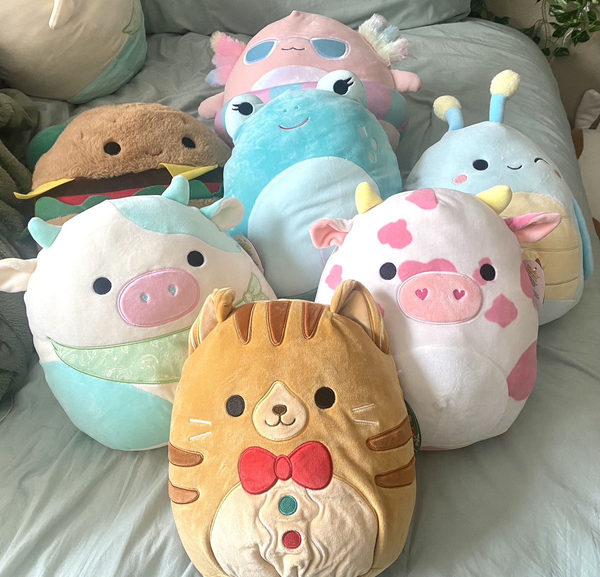 10 Inch Squishmallows