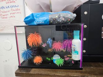 Brand new fish tank