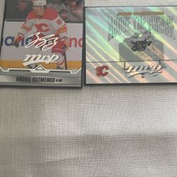 Hockey Cards  MVP Series One