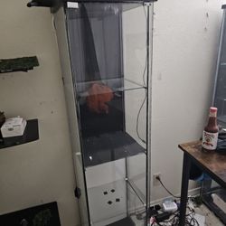 Ikea Detolf Shelves Good To Disllay Items