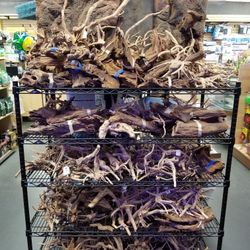 Aquarium Driftwood all sizes and shapes