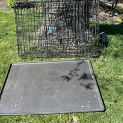 Large Dog Cage Good Condition 