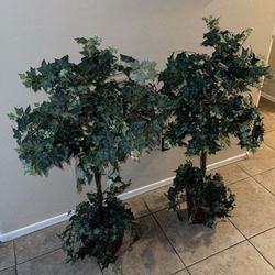 Set Of Beautiful Fake Trees  4 Ft $100 Firm 