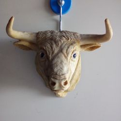 BULL HEAD 