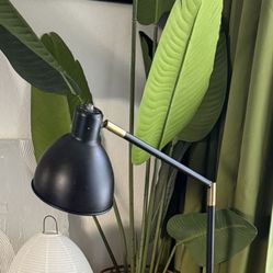 Matte Black, Standing Lamp, Plug In Lamp, Light Fixture