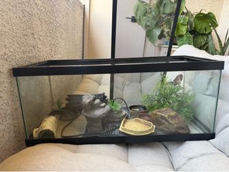 20 Gallon Long Aqueon Aquarium with Lid
