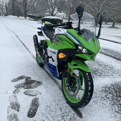 2024 Kawasaki Ninja 500 40th year anniversary