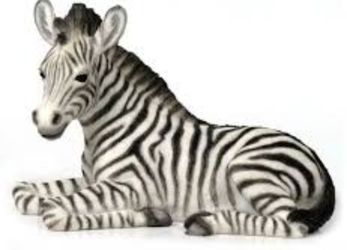 Zebra statues