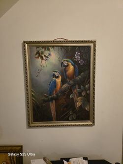 Cuadros ,peces Y Caracoles