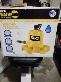Wayne water bug