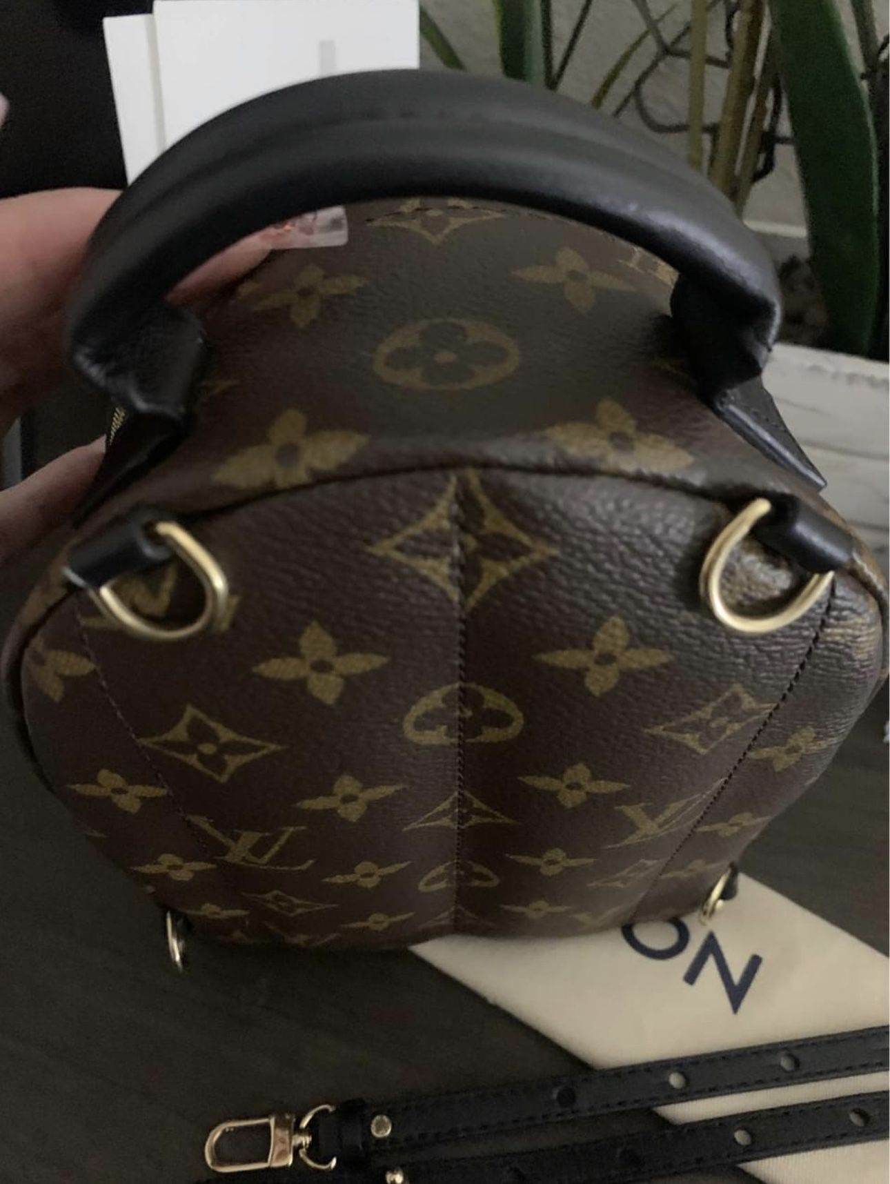 Louis Vuitton Palm Spring mini Backpack for Sale in Los Angeles, CA -  OfferUp