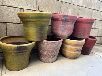 Various Plants Pots