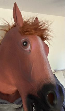Horse head mask