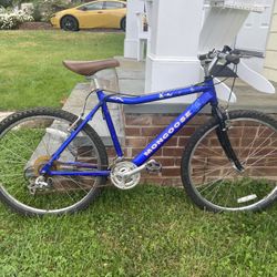 Mountain Bike