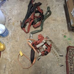 2 Harness And 2 Ropes