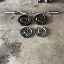 Plate Weights And Curl Bar