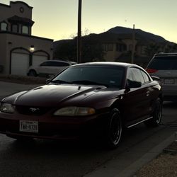 Sn95 Hood And Bumper