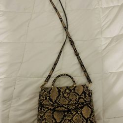 Snake Print Crossbody Purse