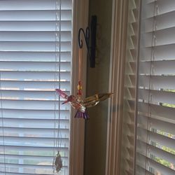 Glass Hummingbird 