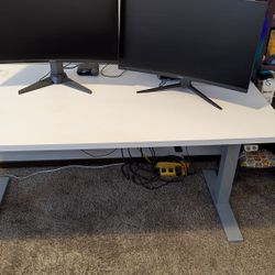 Adjustable Sit/Stand Desk