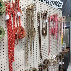 Luxury designer Puppy Collars + leash 