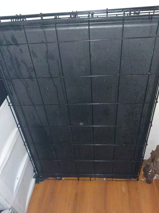 Large Dog Kennel