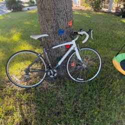 Specialized Dolce 51cm  women's endurance road bike