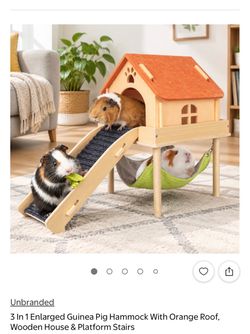 Guinea pig