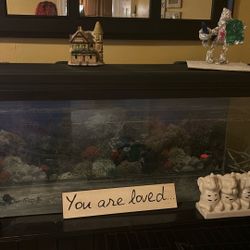Fish Tank For sale 