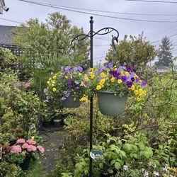 $14 Each Beautiful Basket of Flowers 