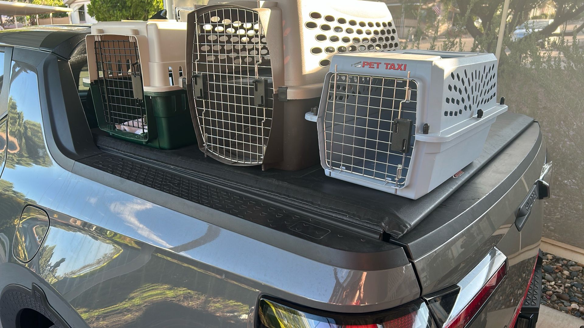 Three dog crates two medium size one small