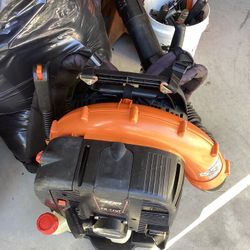 Echo Backpack Blower 