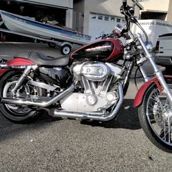 2006 Harley Davidson XL883C