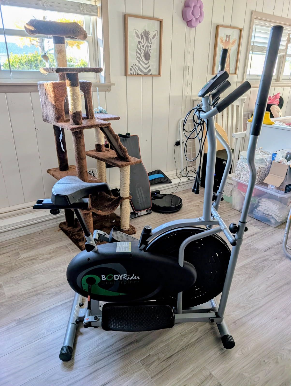 Body Rider Dual Bike And Elliptical 