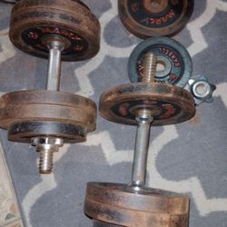 Two Adjustable Dumbbells 100lbs