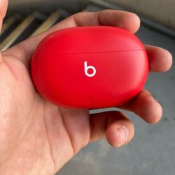 Earphones 