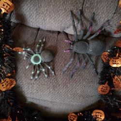 Halloween Decorations 