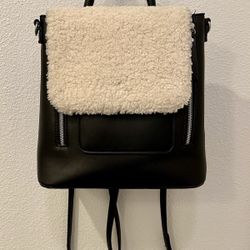 Small Backpack/ Purse $25 Great Condition 
